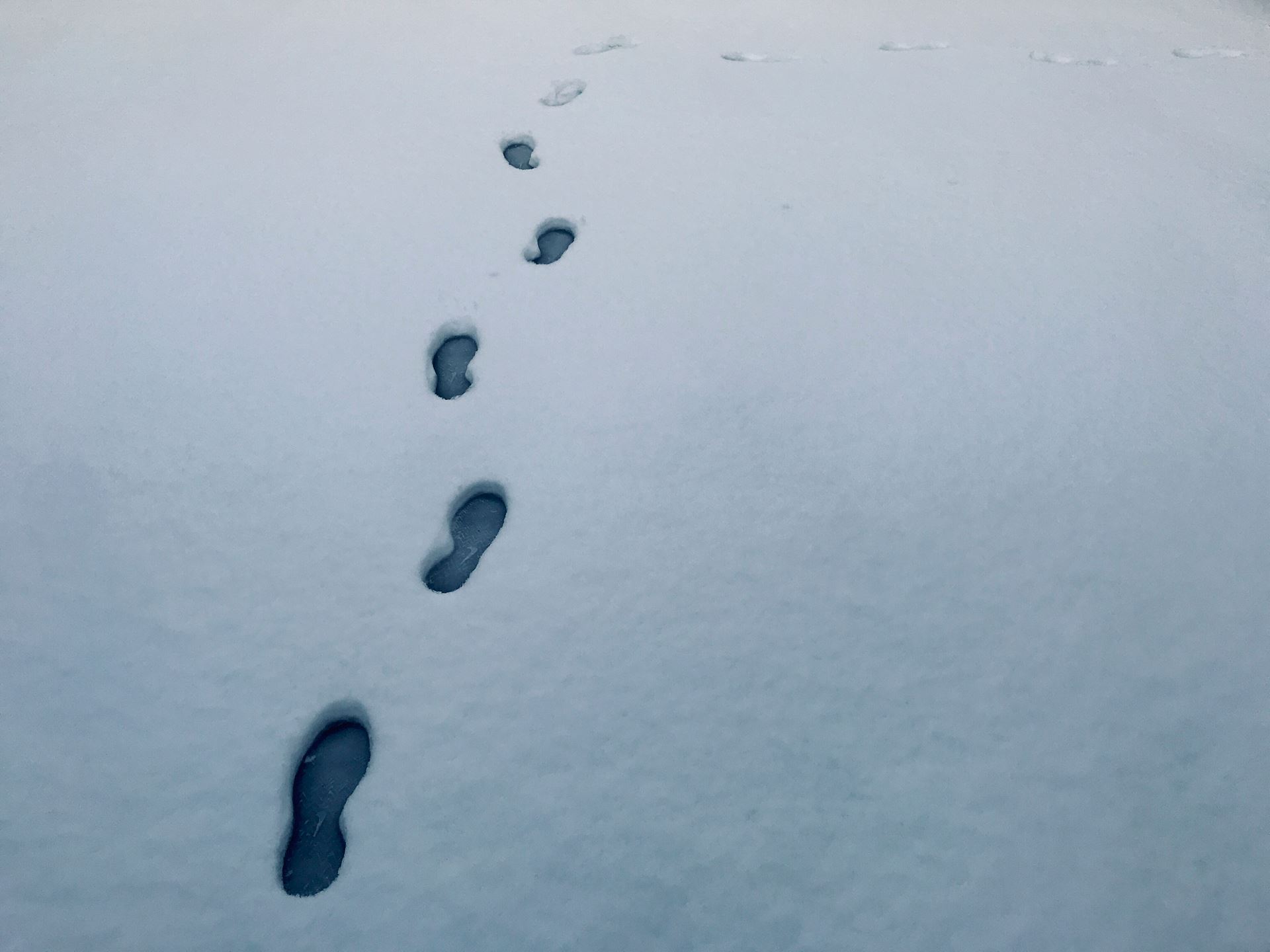 footsteps