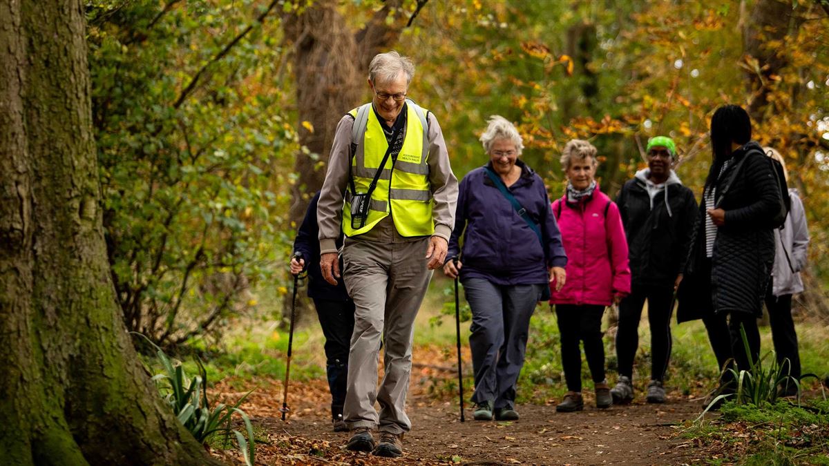 hertfordshire health walks
